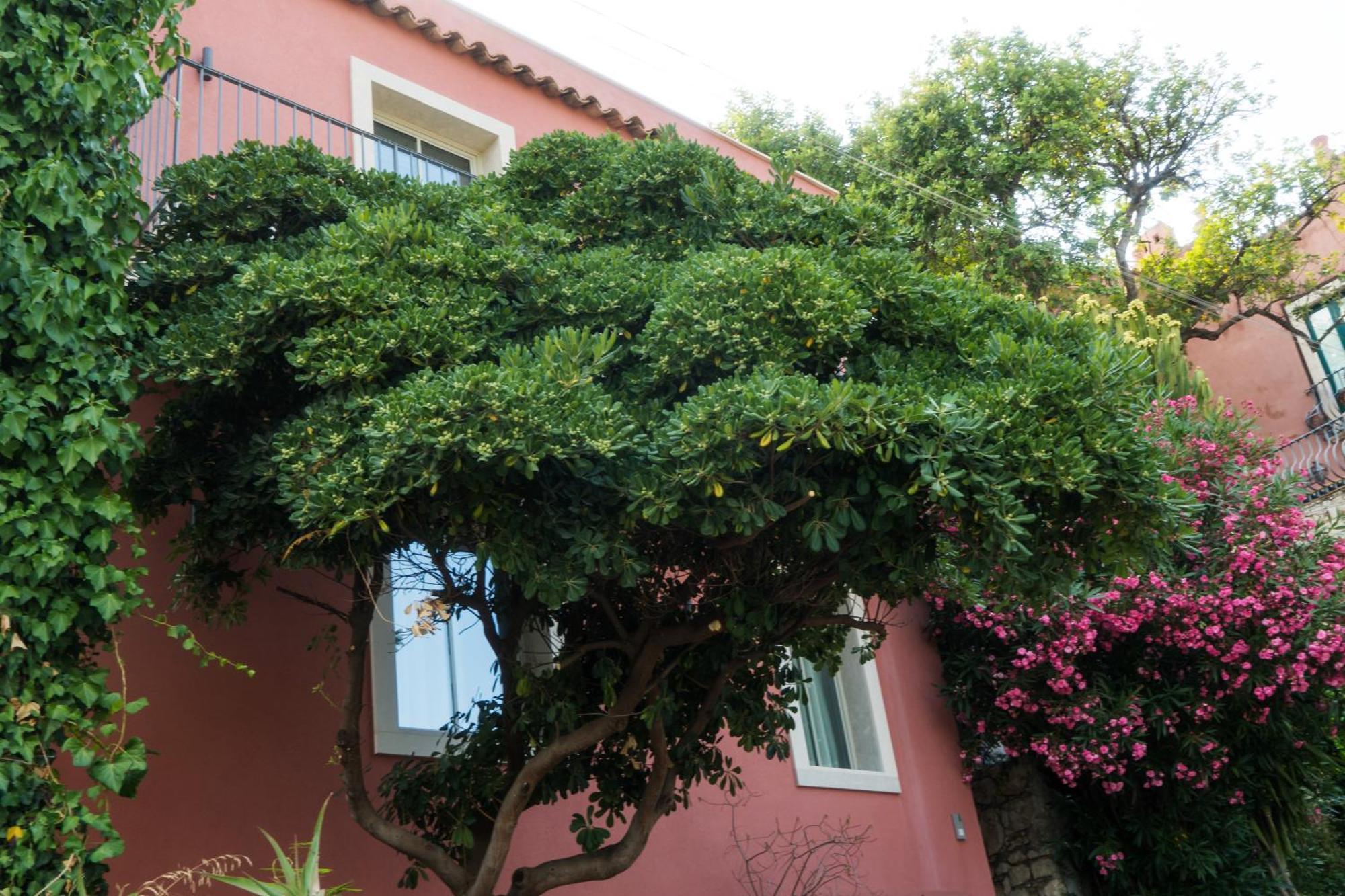 The Charming House Apartment Taormina Exterior foto